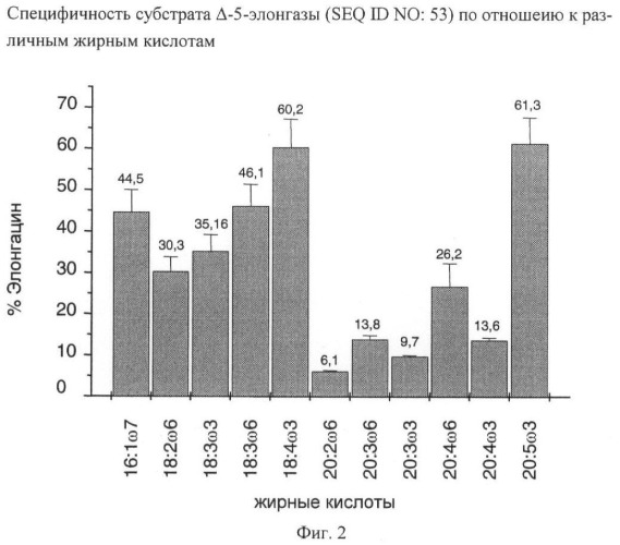 Способ получения полиненасыщенных жирных кислот в трансгенных растениях (патент 2449007)