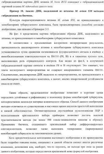 Способ одновременного обнаружения микобактерий туберкулезного комплекса и идентификации мутаций в днк микобактерий, приводящих к устойчивости микроорганизмов к рифампицину и изониазиду, на биологических микрочипах, набор праймеров, биочип и набор олигонуклеотидных зондов, используемые в способе (патент 2376387)