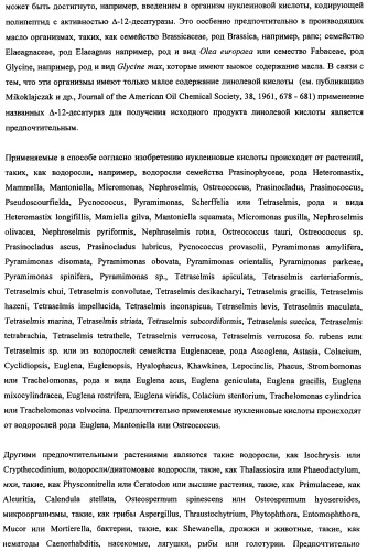 Способ получения полиненасыщенных кислот жирного ряда в трансгенных организмах (патент 2447147)