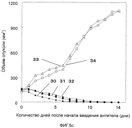 Фармацевтическая композиция для лечения и профилактики злокачественных опухолей (патент 2498819)