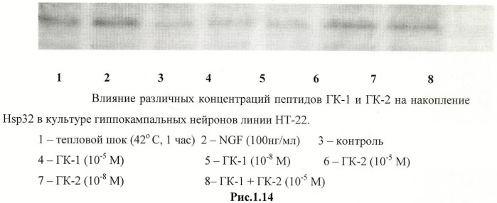 Дипептидные миметики нейротрофинов ngf и bdnf (патент 2410392)