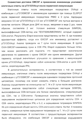 Способ усиления иммунного ответа млекопитающего на антиген (патент 2370537)