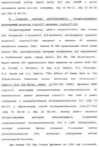 Новый лиганд рецептора цитокина zcytor17 (патент 2360923)
