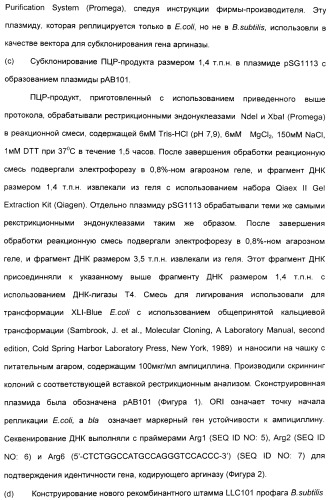 Фармацевтический препарат и способ лечения злокачественных опухолей у человека с помощью аргининовой депривации (патент 2335539)