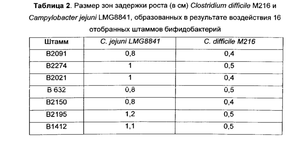 Пробиотический бактериальный штамм (варианты) и симбиотическая композиция, содержащая штамм, для детского питания (патент 2624043)