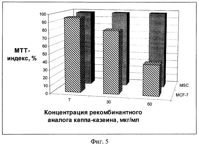 Рекомбинантная плазмидная днк pfk2, обеспечивающая синтез рекомбинантного пептида, являющегося аналогом фрагмента каппа-казеина человека, способ получения рекомбинантного пептида и рекомбинантный пептид, аналог фрагмента каппа-казеина человека, обладающий апоптотической активностью по отношению к раковым клеткам (патент 2401307)