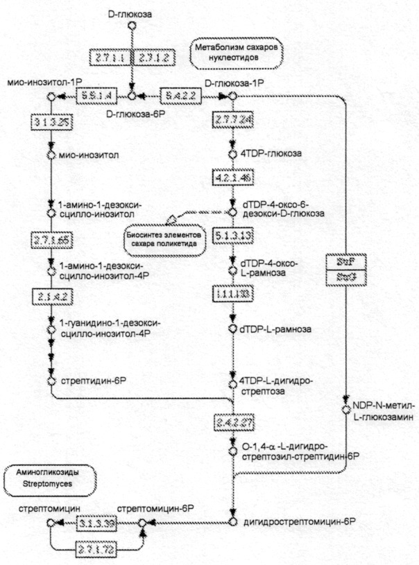 Переработка биомассы (патент 2636399)