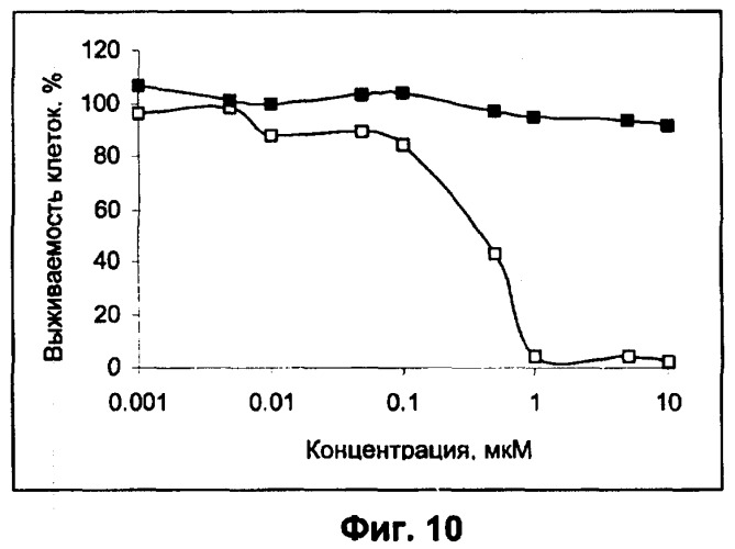 Водорастворимые анионсодержащие производные бактериохлорофилла и их применение (патент 2353624)