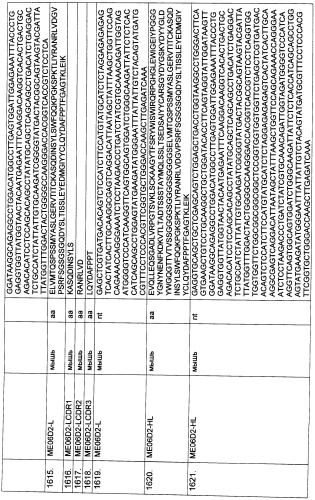 Pscaxcd3, cd19xcd3, c-metxcd3, эндосиалинxcd3, epcamxcd3, igf-1rxcd3 или fap-альфаxcd3 биспецифическое одноцепочечное антитело с межвидовой специфичностью (патент 2547600)