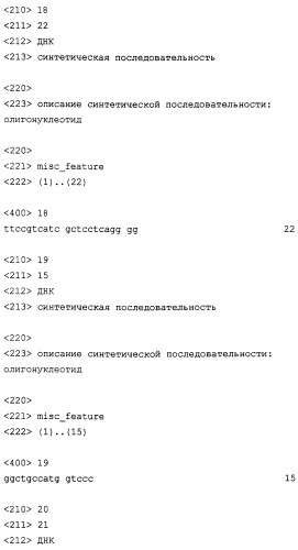 Конъюгаты и способ их получения, а также их применение для транспорта молекул через биологические мембраны (патент 2275936)