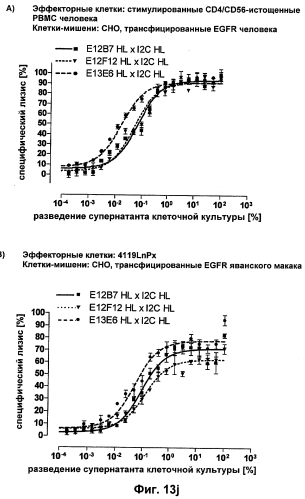 Cd3-эпсилон-связывающий домен с межвидовой специфичностью (патент 2561457)