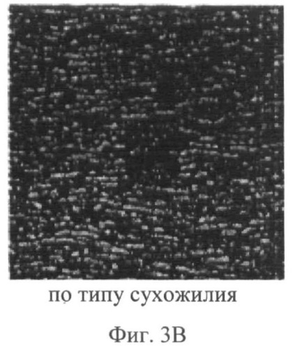 Биокомпозиты и способы их получения (патент 2500432)