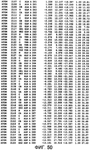Способ модифицирования трансглутаминаз микроорганизмов (патент 2260051)