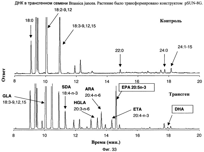 Способ получения полиненасыщенных жирных кислот в трансгенных растениях (патент 2449007)