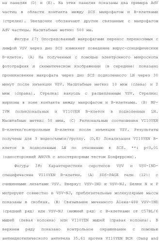 Включение адъюванта в иммунонанотерапевтические средства (патент 2496517)