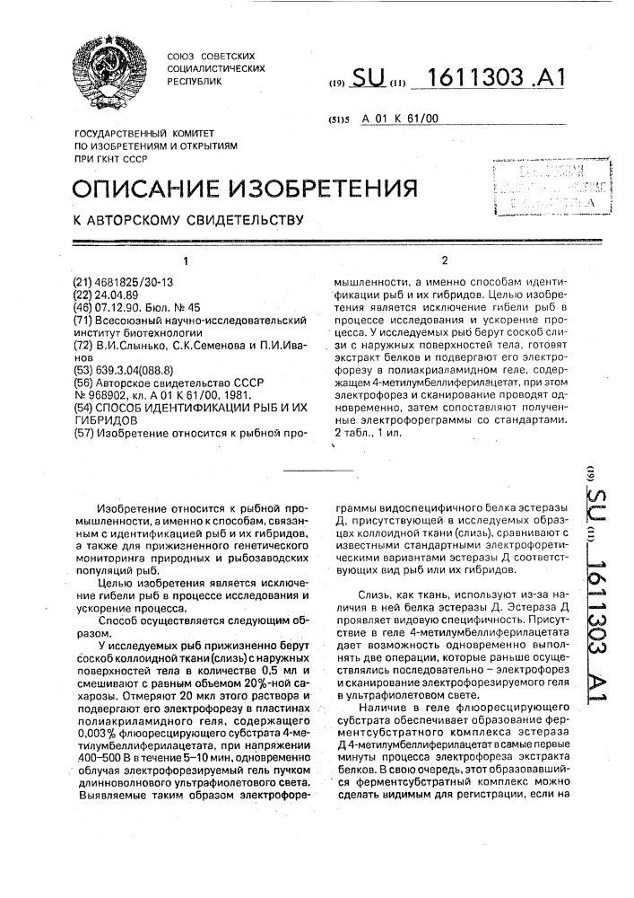 Способ идентификации рыб и их гибридов (патент 1611303)