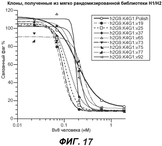 Антитела против bv8 и их применение (патент 2559542)