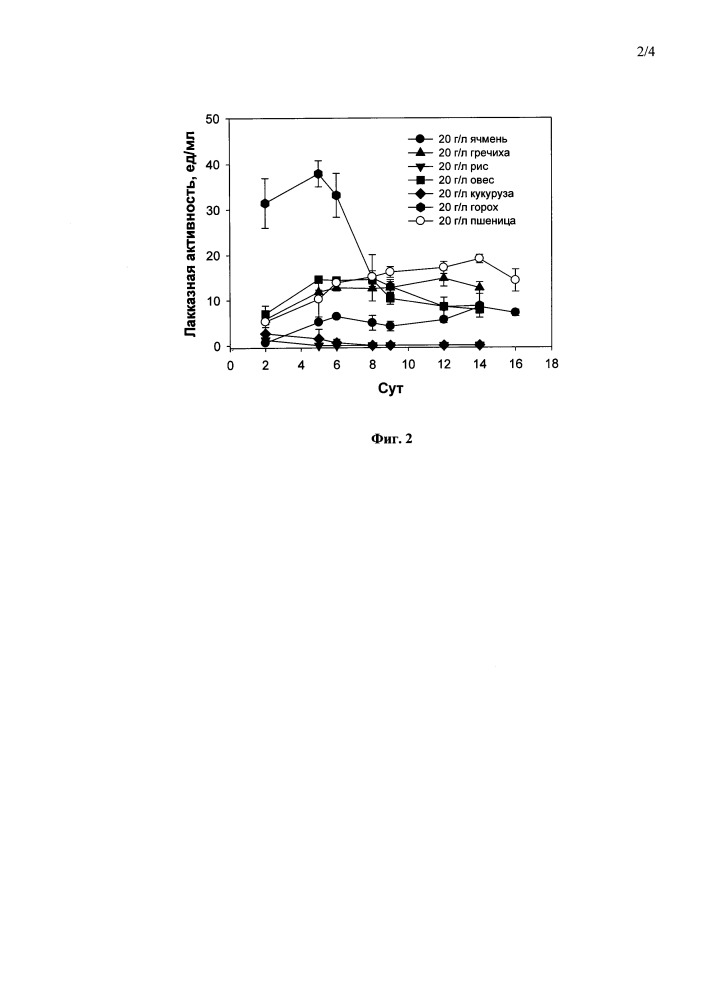 Способ получения оксидаз curvularia geniculata вкм f-3561, активных с фенольными соединениями в нейтральных условиях среды (патент 2664483)