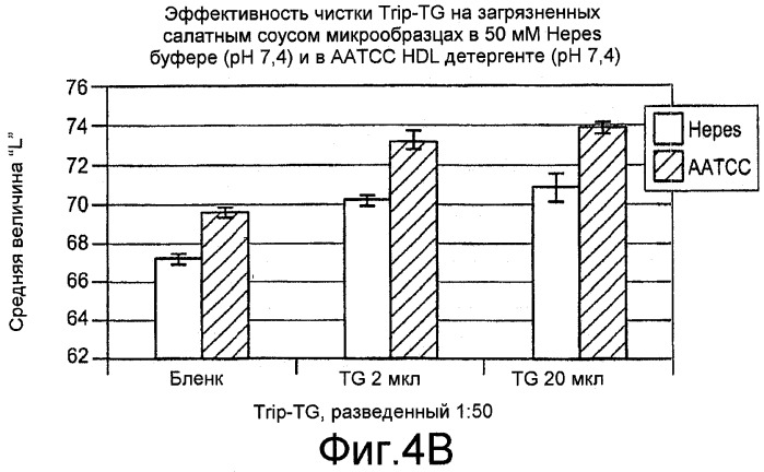 Чистящие композиции, содержащие трансглюкозидазу (патент 2501855)