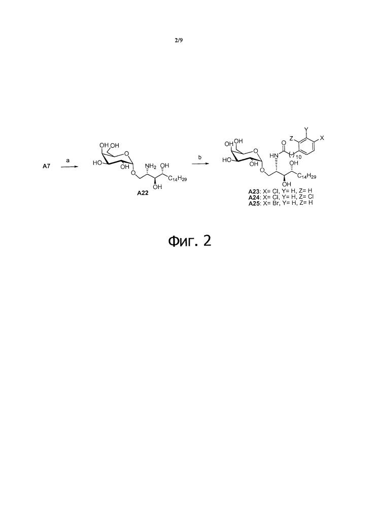 Способы получения гликосфинголипидов и их применение (патент 2636587)