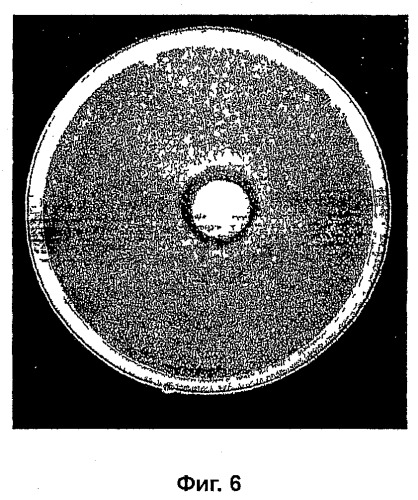 Композиции на основе arthrospira и их применение (патент 2412990)