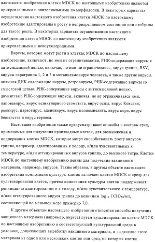 Линии клеток почки собаки майдин-дэрби (mdck), поддерживающие рост вирусов до высоких титров, и способ применения этих клеток в биореакторе (патент 2487935)