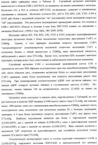 Способ лечения сердечно-сосудистого заболевания с применением растворимого ctla4 (патент 2353384)