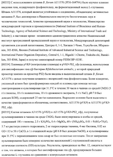 Использование фосфокетолазы для продукции полезных метаболитов (патент 2322496)