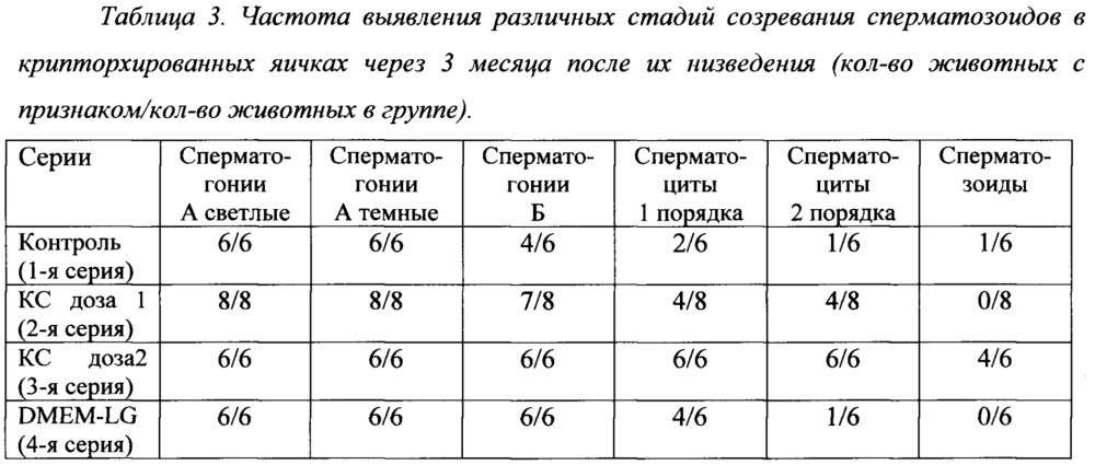 Способ стимуляции сперматогенеза (патент 2652902)