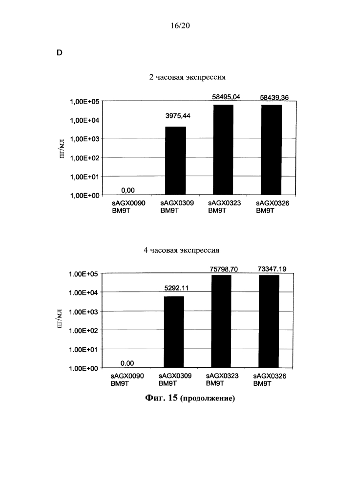 Система полицистронной экспрессии для бактерий (патент 2644346)