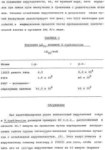 Vgc2 днк salmonella typhimurium, мутантная бактерия, обладающая пониженной способностью к адаптации к условиям окружающей среды, и способ ее получения (патент 2370541)