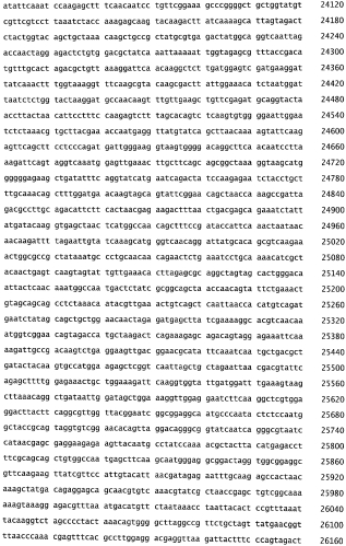 Бактериофаг, обладающий активностью против pseudomonas aeruginosa, белки бактериофага и способы их применения (патент 2580248)
