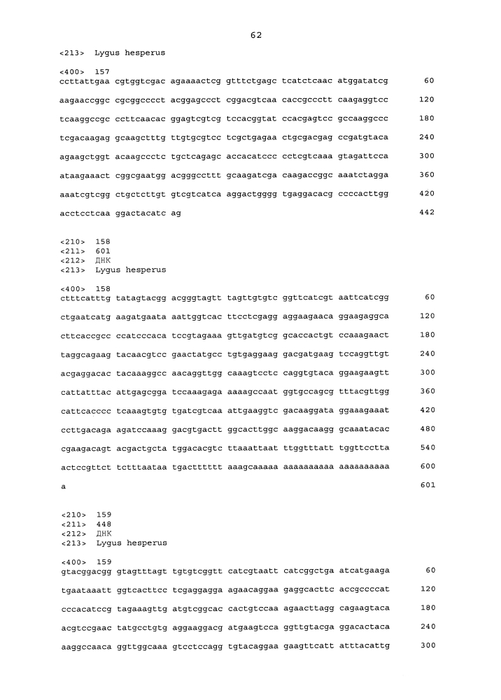 Подавление экспрессии генов у насекомых-вредителей (патент 2619219)