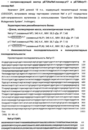 Вакцина для предупреждения и лечения вич-инфекции (патент 2441878)