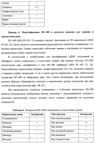 Идентификация опухолевых антигенов для диагностики и терапии (патент 2485974)