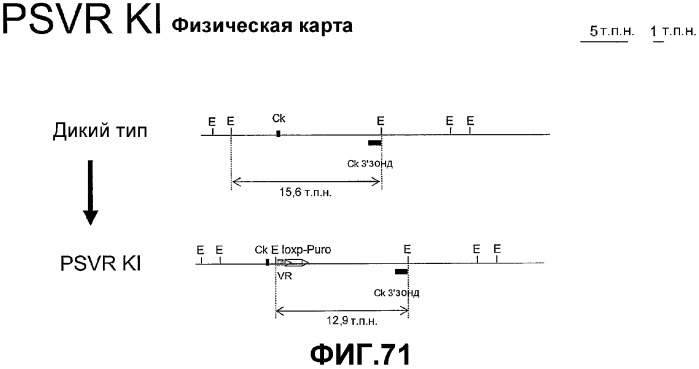 Желудочно-кишечный пролиферативный фактор и его применения (патент 2343158)