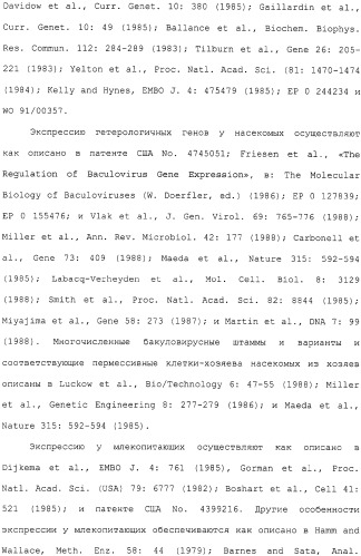 Новые флуоресцирующие белки aequorea coerulscens и способы их применения (патент 2330886)