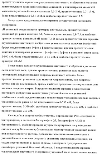 Способы упаковки олигонуклеотидов в вирусоподобные частицы рнк-содержащих бактериофагов (патент 2476595)