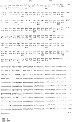 Ген abfb-1 penicillium funiculosum (патент 2388824)