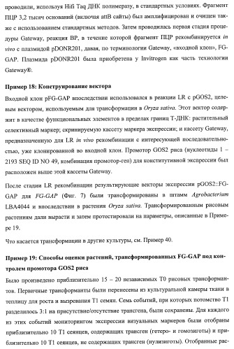 Растения, имеющие улучшенные характеристики роста, и способы их получения (патент 2463352)