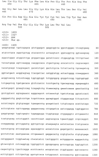 Pscaxcd3, cd19xcd3, c-metxcd3, эндосиалинxcd3, epcamxcd3, igf-1rxcd3 или fap-альфаxcd3 биспецифическое одноцепочечное антитело с межвидовой специфичностью (патент 2547600)