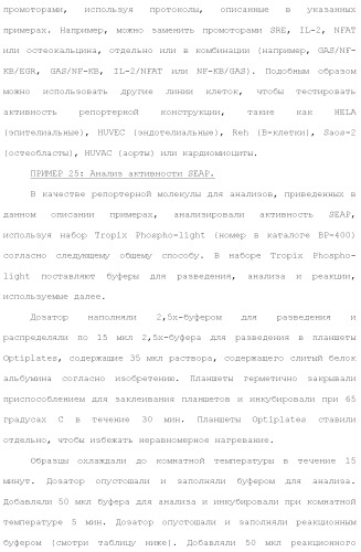 Слитые белки альбумина (патент 2369404)