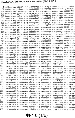 Рекомбинантная вакцина от птичьего гриппа и её применение (патент 2559527)