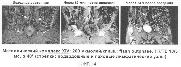 Применение перфторалкилсодержащих комплексов металлов в качестве контрастных веществ в магнитно-резонансной томографии для визуализации бляшек, опухолей и некрозов (патент 2290206)