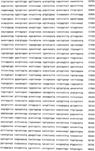 Бактериофаг, обладающий активностью против pseudomonas aeruginosa, белки бактериофага и способы их применения (патент 2580248)
