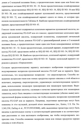 Растения, имеющие улучшенные характеристики роста, и способы их получения (патент 2463352)
