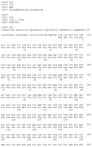 Гены corynebacterium glutamicum, кодирующие белки резистентности и толерантности к стрессам (патент 2303635)