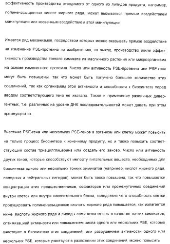 Новый ген элонгазы и способ получения полиненасыщенных кислот жирного ряда (патент 2311457)