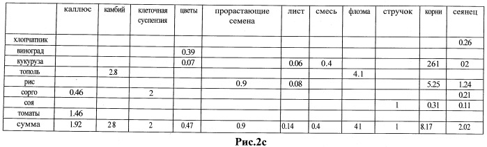 Изолированные полипептиды, кодирующие их полинуклеотиды, экспрессирующие их трансгенные растения и способы их использования (патент 2487166)