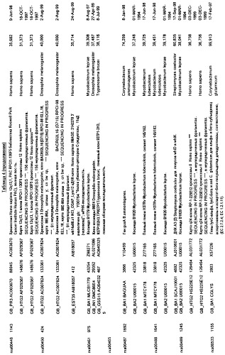 Гены corynebacterium glutamicum, кодирующие белки метаболических путей (патент 2306339)